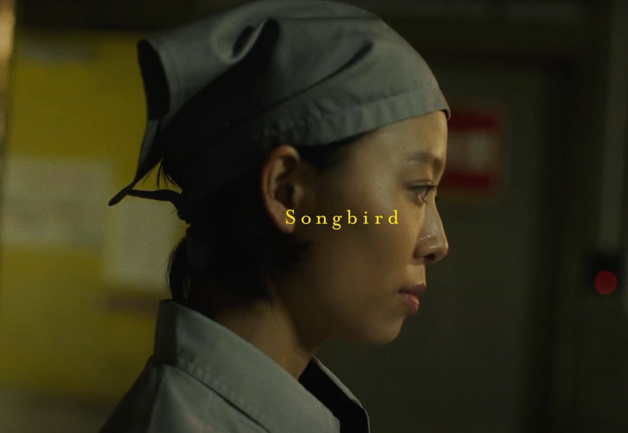 Performer in the Songbird immersive project developed with Wales Millennium Centre